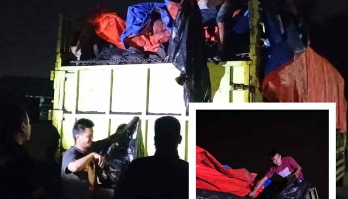Polda Sumsel Bongkar 40 Ton Batubara Ilegal di OKU, Dokumen Perusahaan Diduga Fiktif